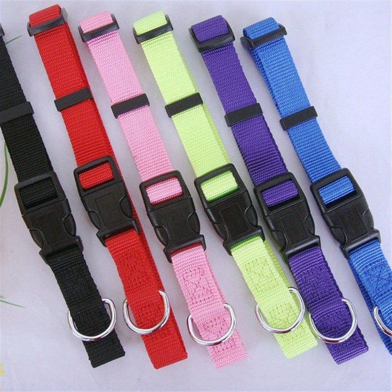 Simple PP Collar for Pet Dog Pet Dog Neck Collar Pet Collar