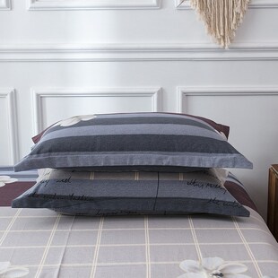 Pure Cotton Reactive Brushed Pillowcase Winter Warm Thickene