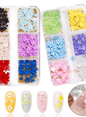 Japanese Mixed Style HyunA 3D Small Flower Nail Art Resin Fi