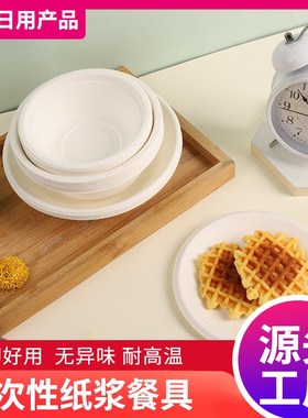 Disposable Paper Plates Bowls Dishes for Home Use 8Pack Thic