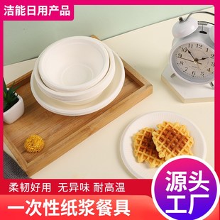 Disposable Paper Plates Bowls Dishes for Home Use 8Pack Thic