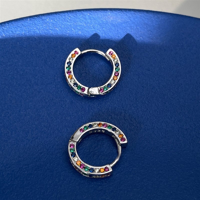 Earring Womens Hoop Earrings Design Sense HighClass Circle E