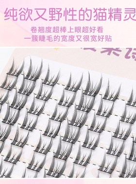 Natural CatEars False Eyelashes Pure Desire Manga Style Lazy