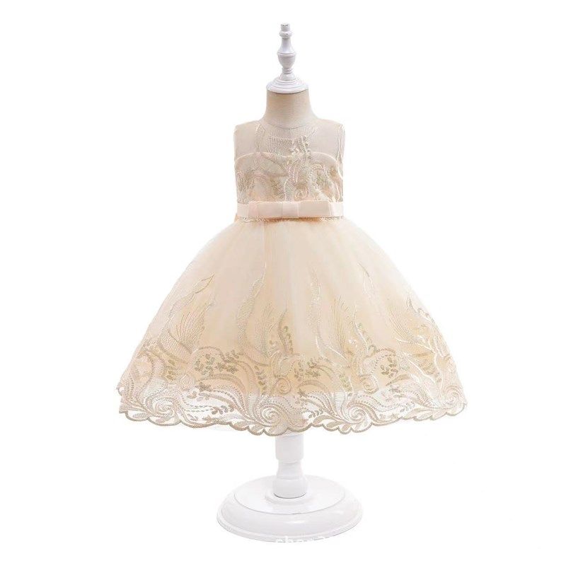 Girls Princess Dress Embroidered Tulle RunwayHost Birthday D