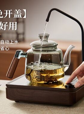 忆壶茶电陶炉煮茶壶玻璃小型煮茶器自动抽上水2026新款茶台烧水壶