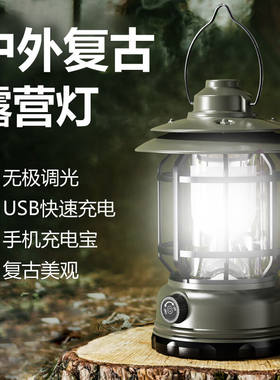 神鱼（SHENYU）露营灯户外野营充电灯帐篷灯挂灯马灯停电家用照明