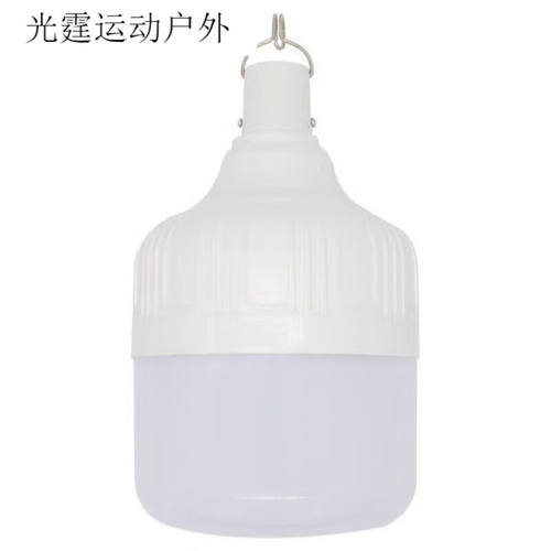 派力德（Pailide）挂式地摊灯充电挂灯多功能灯充电节能灯充电应