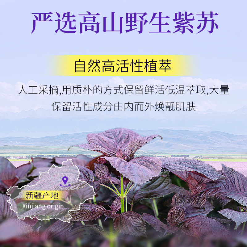 上朵紫苏熬夜四件套 深润补水滋润保湿嫩白提靓保湿乳液