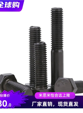 外六角高强度螺丝螺钉螺栓螺柱M9M11M13M15M17M19M21M25M28M32M35