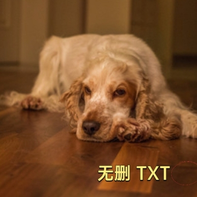 请叫我总监TXT 红九 宁檬 陆既明 完结 电子txt明信片