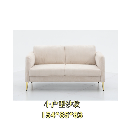 小户型经济型布艺沙发两人位