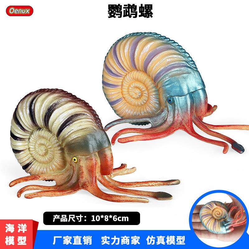 跨境儿童仿真海洋动物模型玩具远古生物鹦鹉螺海螺田螺鱼缸摆件