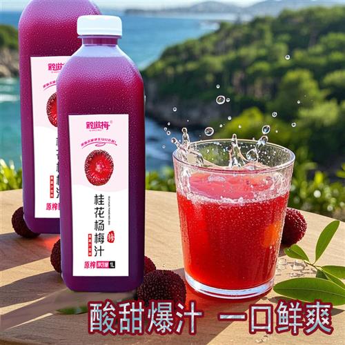 桂花杨梅汁双梅汁小番茄汁酸梅汤1000ml奶茶店商用大瓶果汁饮料