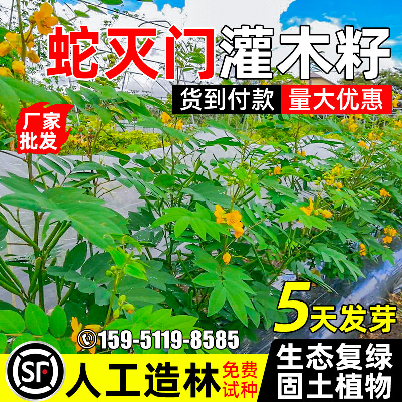蛇灭门护坡固土人工造林生态修复