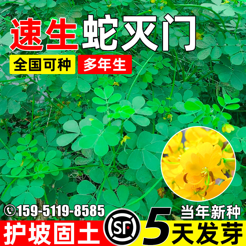 蛇灭门护坡固土生态修复边坡绿化