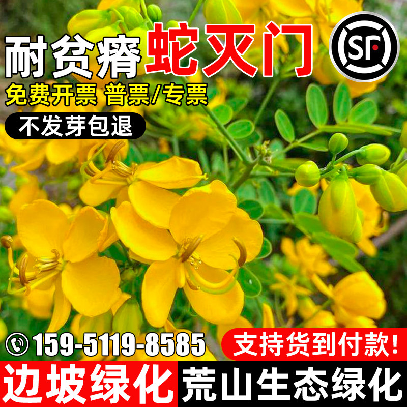 蛇灭门护坡固土边坡绿化生态修复