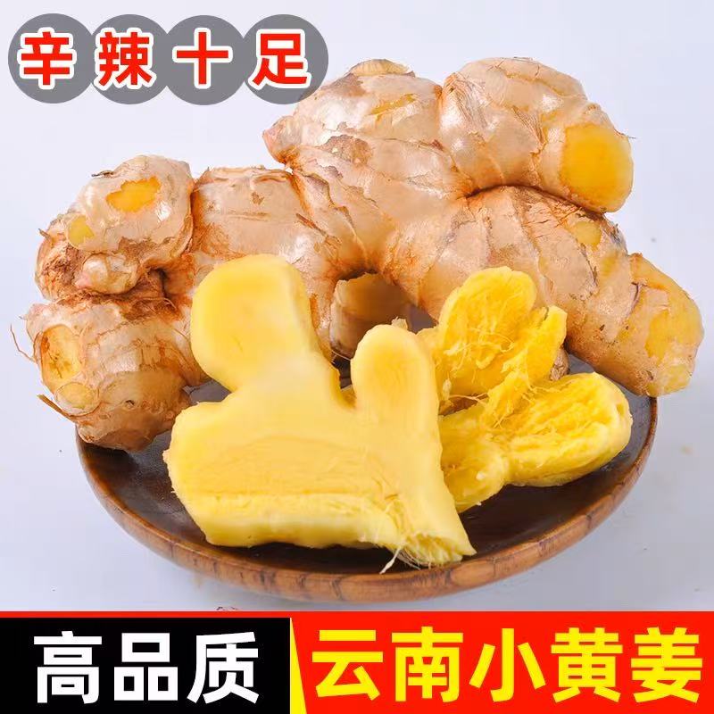 正宗云南小黄姜生姜老姜新鲜当季整箱批发罗平农家自种现挖