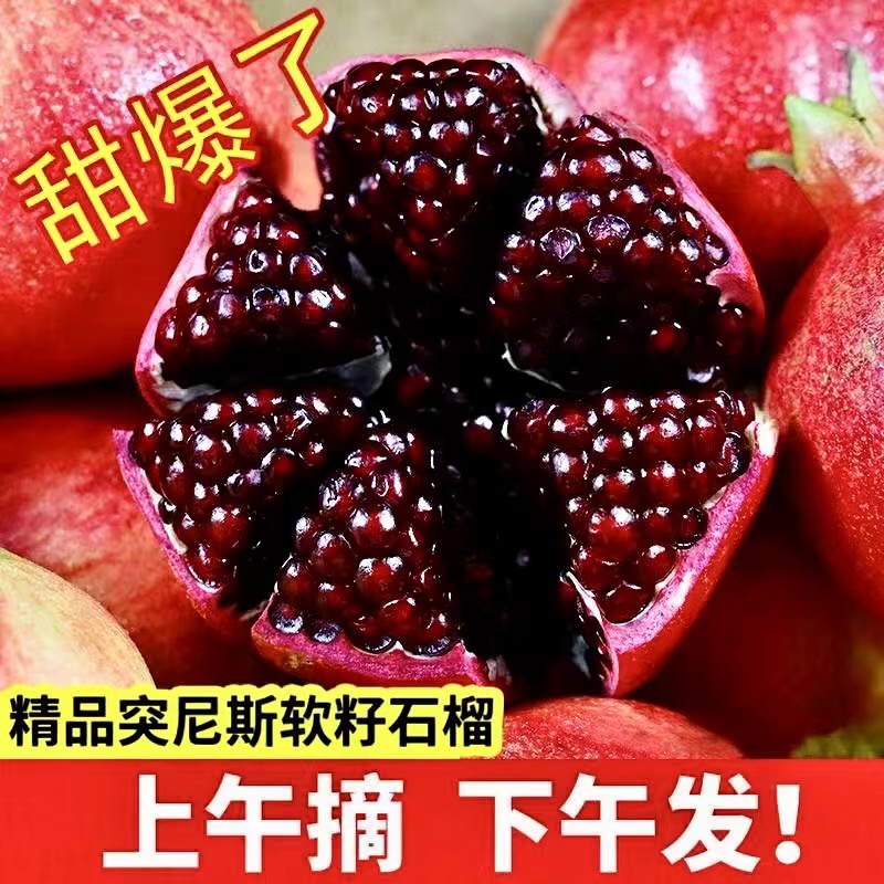 四川会理突尼斯软籽石榴新鲜水果5斤10当季子整箱中秋节礼盒送人