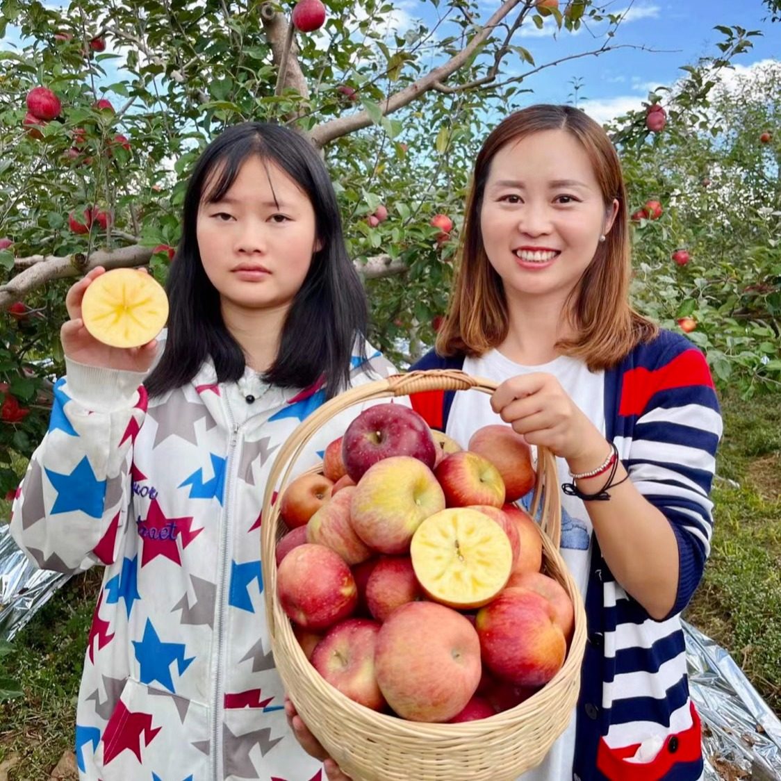 正宗四川盐源丑苹果冰糖心大凉山水果新鲜当季整箱5斤10脆甜礼盒,水产肉类/新鲜蔬果/熟食,苹果,淘宝优惠券,粉丝福利购,淘宝优惠卷