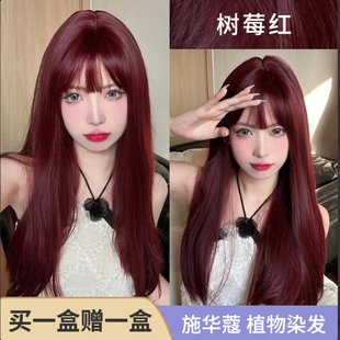 施华蔻树莓红棕色染发剂2025流行色显白海王红植物纯正品染发膏女