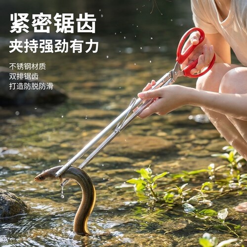赶海专用夹子不锈钢黄鳝夹龙虾螃蟹防滑泥鳅加长火钳垃圾钳子小捡