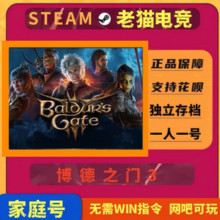 博德之门3steam成品账号可联机独立存档全新白号可换绑家庭号