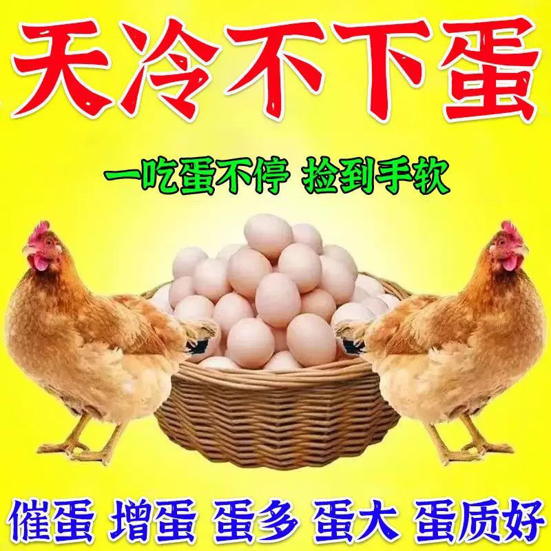 增蛋宝蛋禽饲料添加剂蛋多多催蛋多下蛋延长产蛋期鸡鸭鹅鹌鹑通用