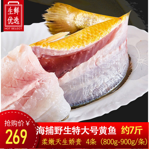 黄花鱼大黄鱼海鲜新鲜海捕鱼生鲜