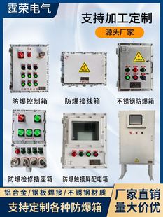 定制防爆照明屏配制电箱不锈钢防爆接线箱触摸仪表控箱检修插座箱