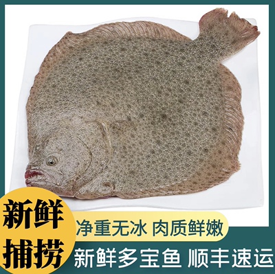 鲜活超大多宝鱼新鲜比目鱼大菱鲆野生海鲜鱼类八宝鱼水产冷冻海鲜