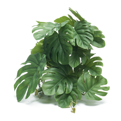 仿真植物天然躲避穴饲养缸造景