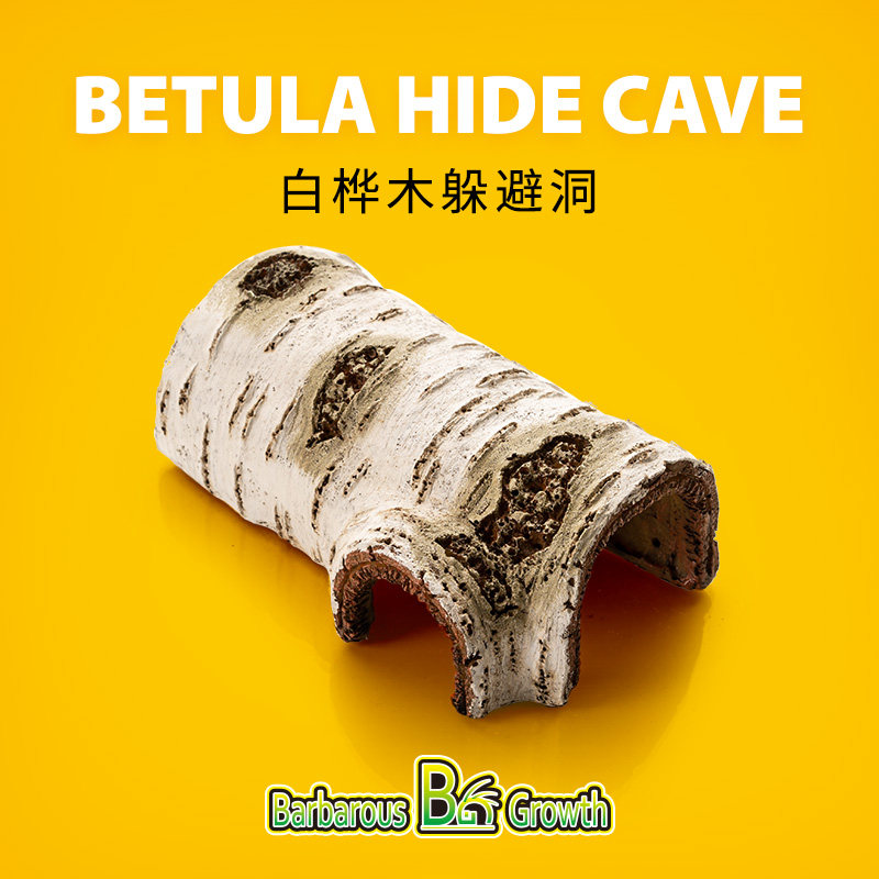 宠物爬宠桦木躲避蜥蜴守宫蛇躲避屋爬虫造景仓鼠树皮洞穴