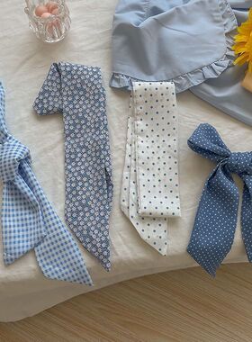 蓝色系飘带复古法式装饰丝带韩国丝巾发带薄款飘带女窄春夏季领巾