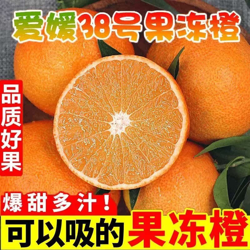 四川爱媛38号果冻橙10斤橙子新鲜当季水果柑橘蜜桔子整箱大果包邮