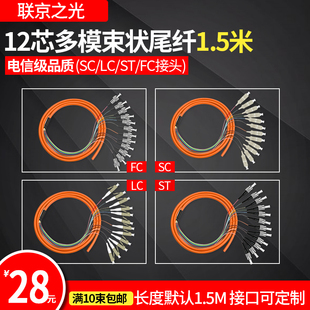 多模12芯束状尾纤62.5 多模小方口卡口圆头光纤跳线尾纤多模对接头多模转接头 125 FC12芯束装