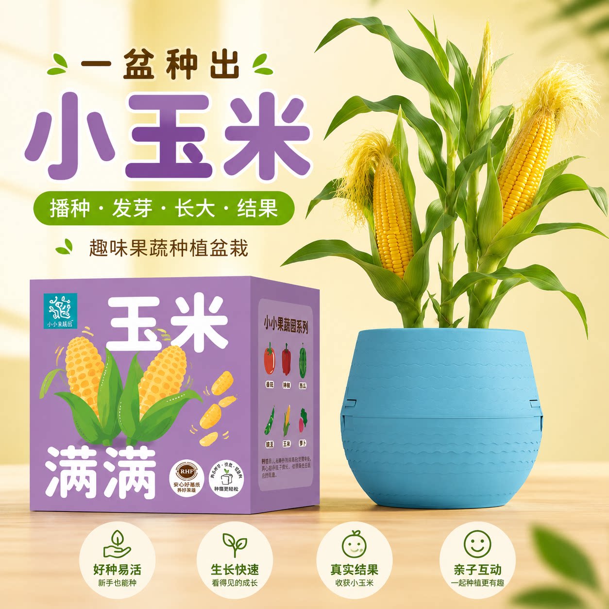 小玉米种植盆栽 阳台桌面趣味蔬菜种子种植套装亲子DIY绿植可结果