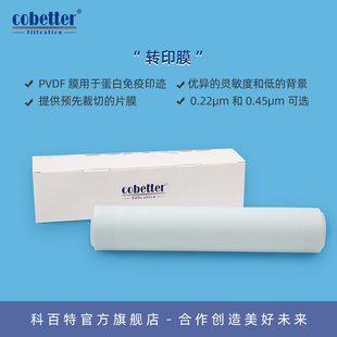 0.2μm 3.75m Western 275mm 凝胶电泳转印膜 0.45μm蛋白质提取 滤纸 wb转印滤膜 Blot PVDF转印膜 科百特