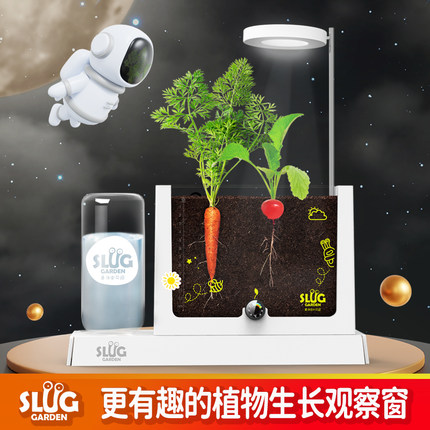 儿童植物种植阳光房种植观察窗科学实验套装diy花种子种植小盆栽