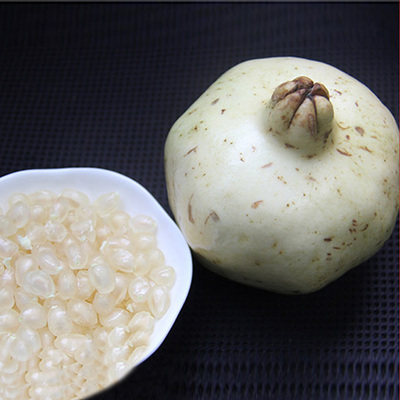 白玉石榴树树苗 带土发货 石榴树大树软籽甜盆地栽庭院当年结果