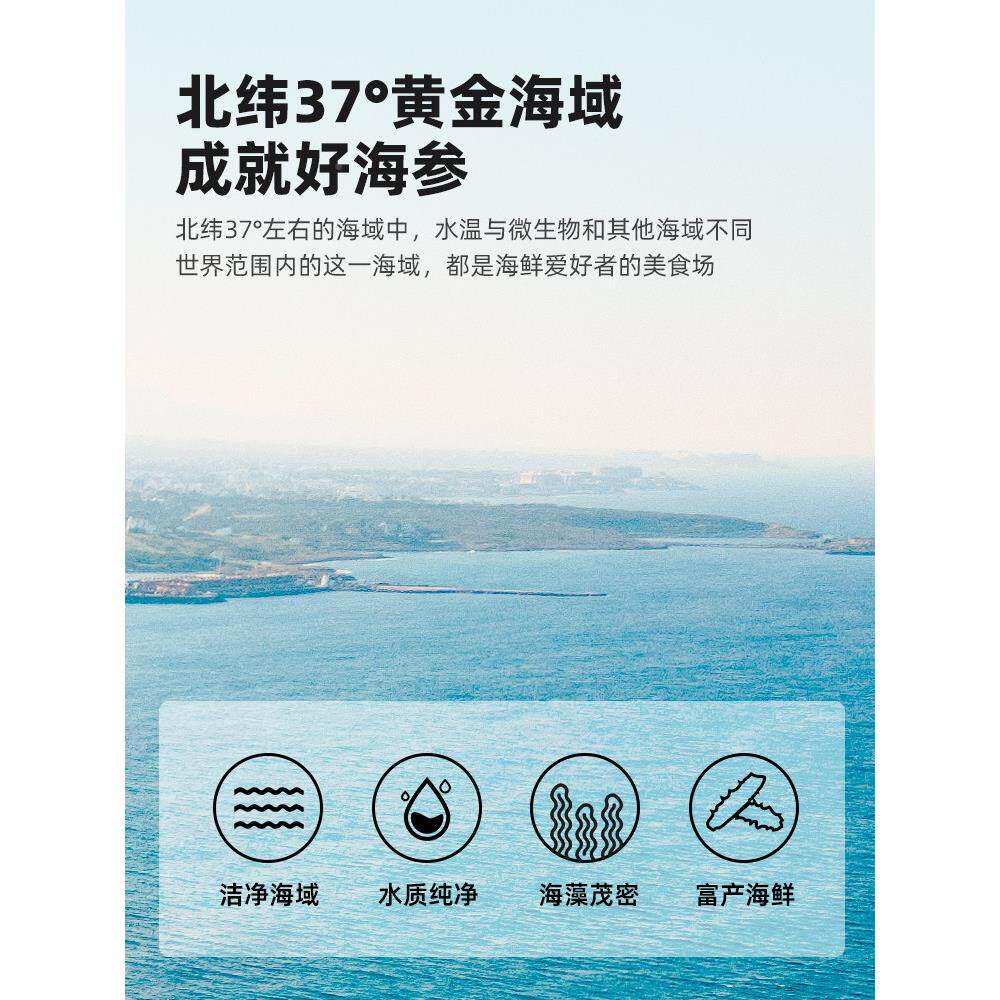 阳轻海参、水大海益参、山东威海参MAL、下土海产底播海参礼品盒