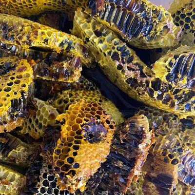 云南野生黑、原高山汤花圆、蜜黑蜂窝蜜、汁土蜜、BDG蓝白花蜜、