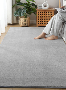 地毯卧室床边毯高级感纯色地垫加厚短毛绒全铺床前床下脚垫可机洗