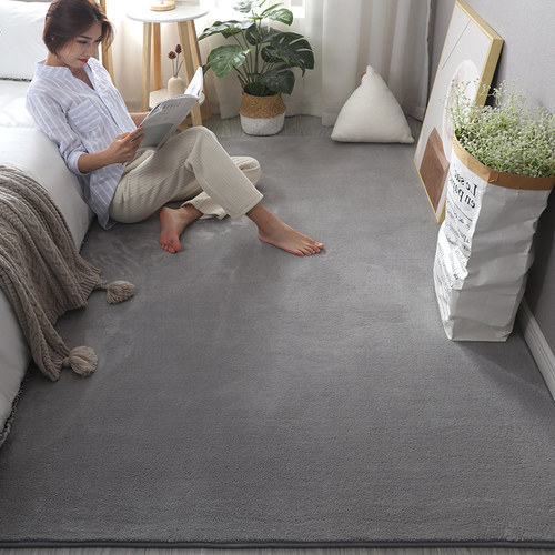 卧室地毯加厚毛绒床边毯纯色整铺房间床前地垫床下全铺客厅茶几毯