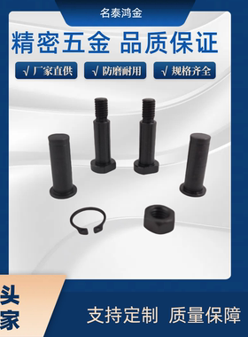 带肩铰链销 MIE11 MIC11-D3-D4-D5-D6-L18-L20-L22-L24-L25-L30-A
