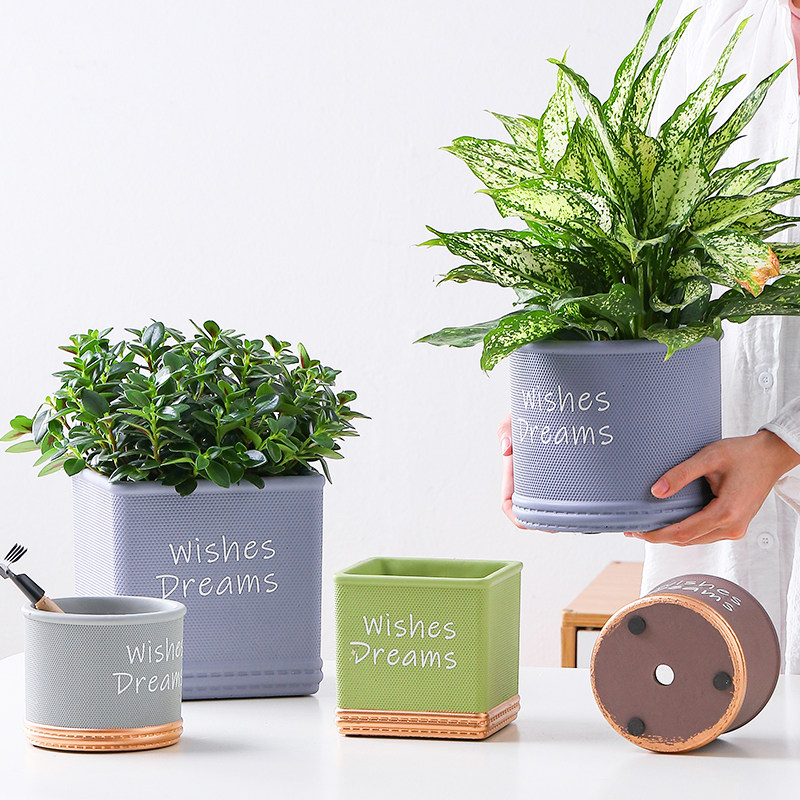 花盆水泥北欧个性简约ins风盆栽创意家用绿萝多肉仙人掌兰花特价