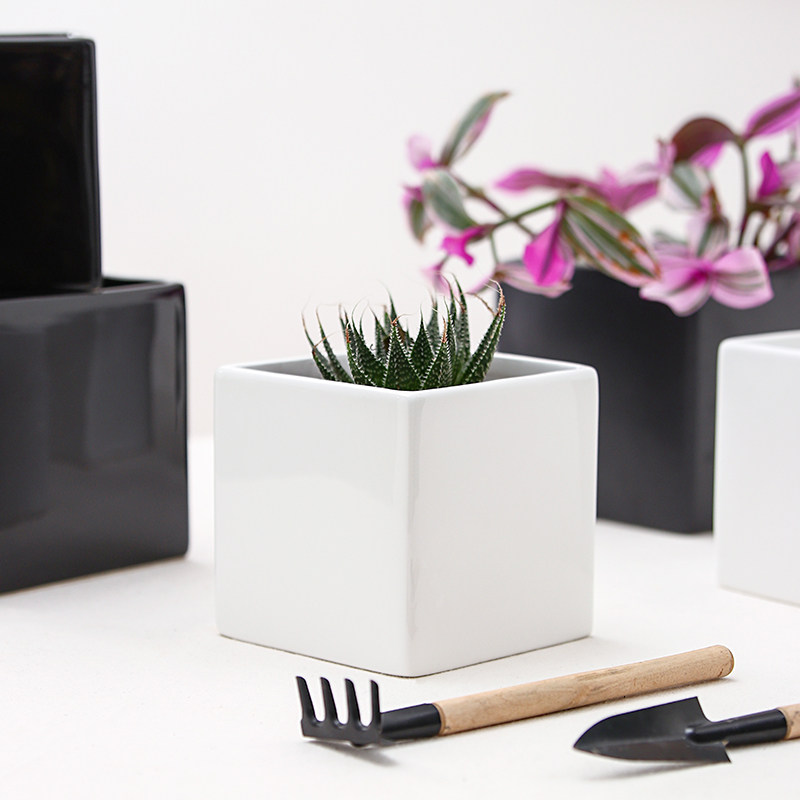 陶瓷花盆无孔土栽培水培水养植物简约办公室桌面阳台正方形容器,鲜花速递/花卉仿真/绿植园艺,花盆,淘宝优惠券,粉丝福利购,淘宝优惠卷