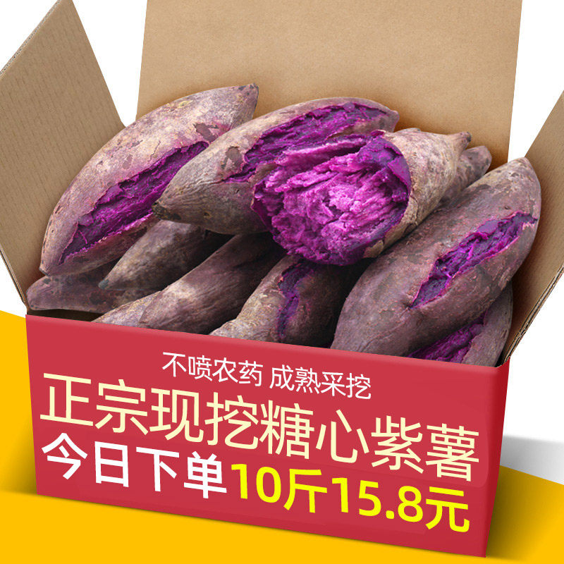 新鲜糖心紫薯10斤新鲜板栗红薯番薯地瓜蜜薯山芋烟薯蔬菜农家自种