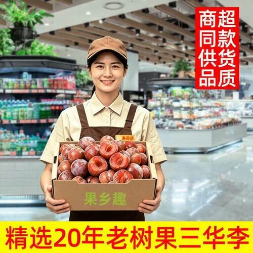 正宗老树大果正宗脆红李5斤