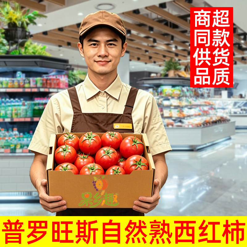 正宗普罗旺斯沙瓤西红柿