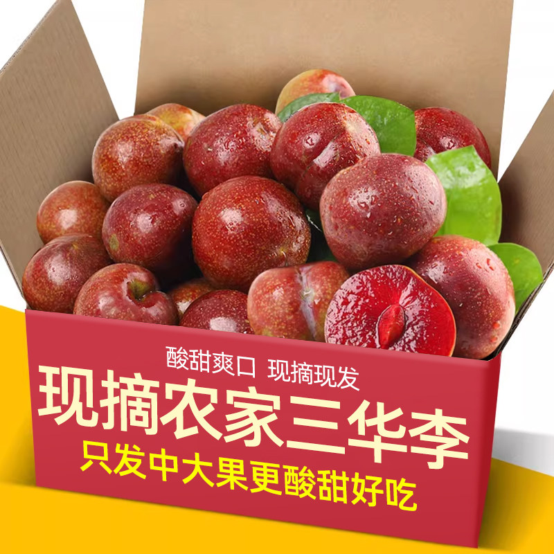 【果乡趣】正宗红心三华李新鲜酸甜水果钱排四月李子当季孕妇整箱